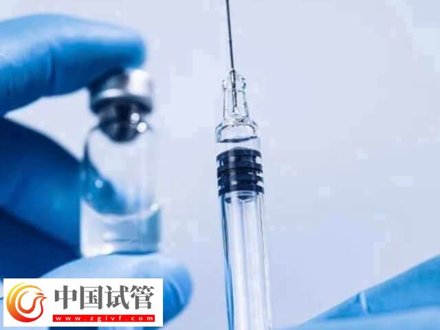 每天打排卵針為什么卵泡會減少(圖1)