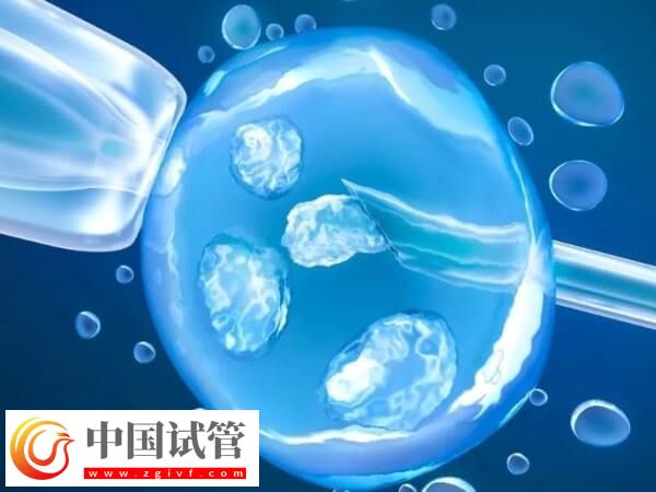 第二次試管需不需要促排(圖1)