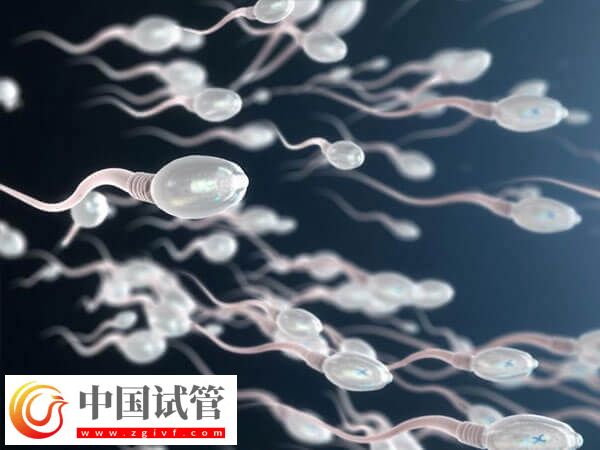 艾滋病洗精費(fèi)用是多少(圖1) 艾滋病洗精費(fèi)用是多少(圖1)