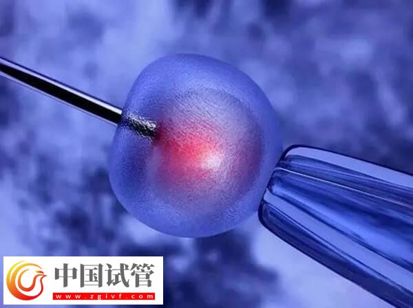 amh0.30做試管成功率多高(圖1)