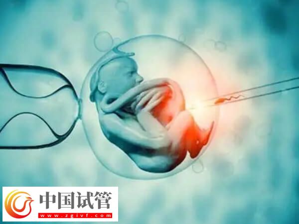 澳門試管成功率高不高(圖1)