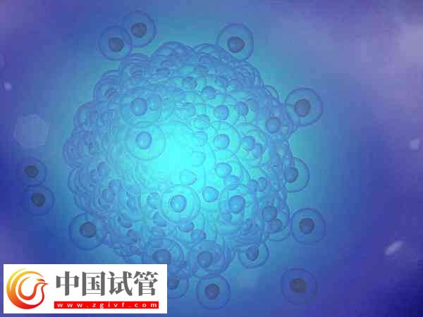 胚胎有基因問題三代試管能否解決(圖1) 胚胎有基因問題三代試管能否解決(圖1)