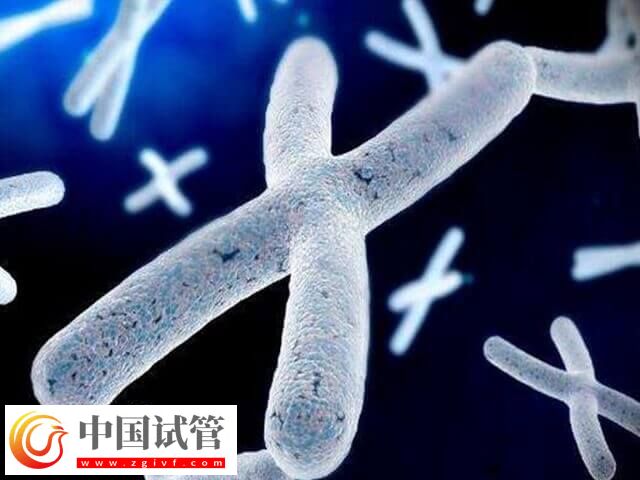 胚胎有基因問題三代試管能否解決(圖2) 胚胎有基因問題三代試管能否解決(圖2)