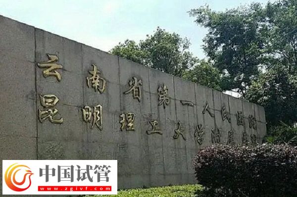 昆華醫院試管嬰兒哪個醫生做的好(圖2)