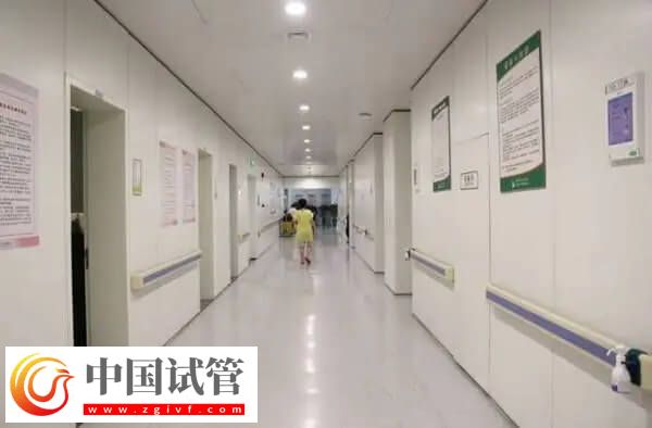 陜西省婦幼試管成功率多少(圖2)