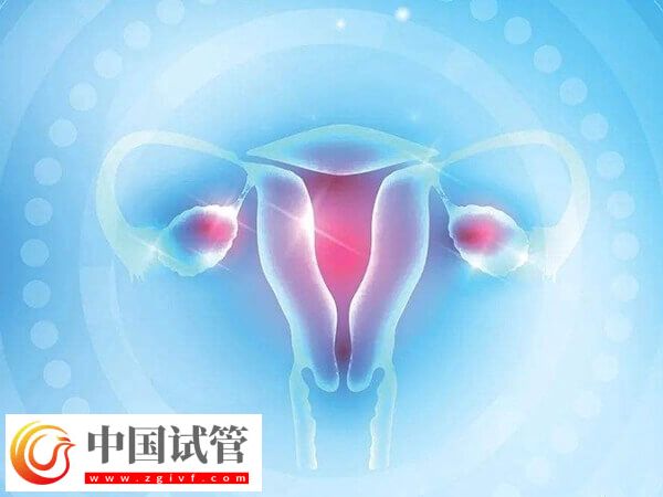 24歲卵巢早衰醫(yī)生說不用治怎么回事(圖2) 24歲卵巢早衰醫(yī)生說不用治怎么回事(圖2)