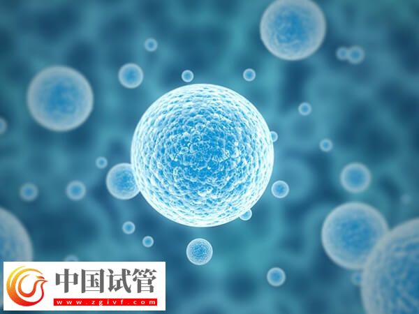 30歲基礎卵泡幾個正常(圖1)