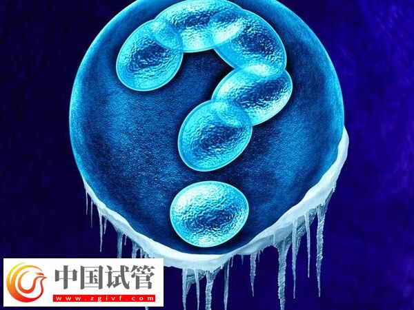 les去哪里做試管(圖1)