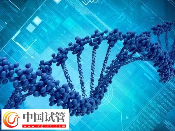 胚胎篩選和性別篩選是否一樣(圖2) 胚胎篩選和性別篩選是否一樣(圖2)