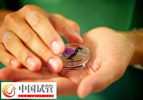 能不能做第四代試管嬰兒了(圖1)