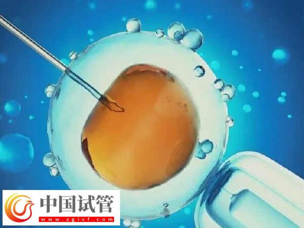 北京和上海做試管哪個技術(shù)好(圖1) 北京和上海做試管哪個技術(shù)好(圖1)