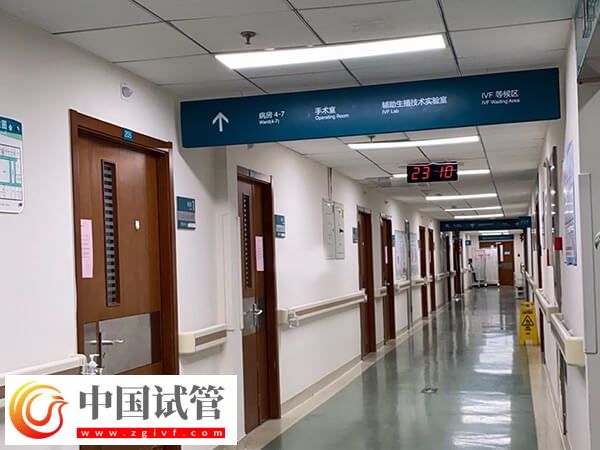 北京試管嬰兒成功率最高的醫院是哪個(圖2)