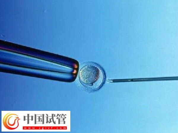 北京試管嬰兒成功率最高的醫院是哪個(圖1)