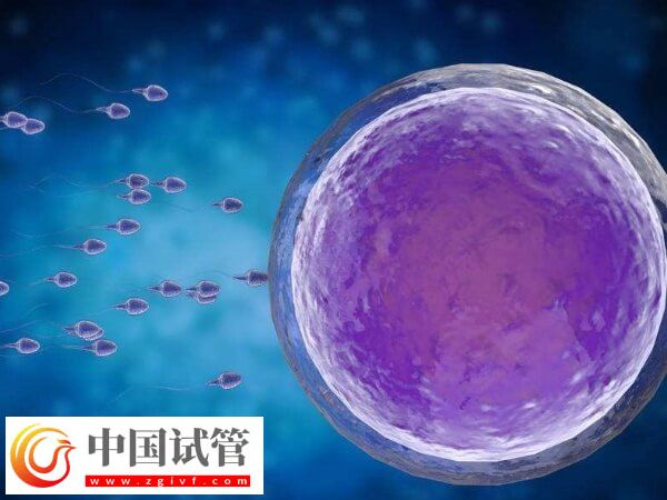 什么是第四代試管嬰兒(圖2)