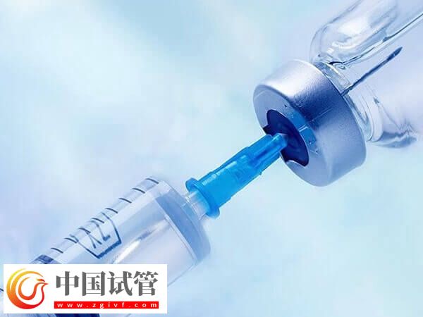 超長方案的卵泡質(zhì)量會不會好點(圖1) 超長方案的卵泡質(zhì)量會不會好點(圖1)