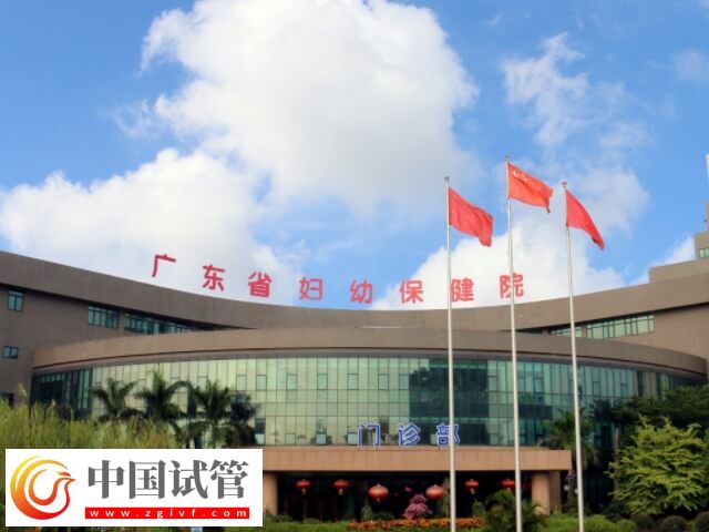 廣東最出名的不孕不育醫(yī)院有哪些(圖4) 廣東最出名的不孕不育醫(yī)院有哪些(圖4)
