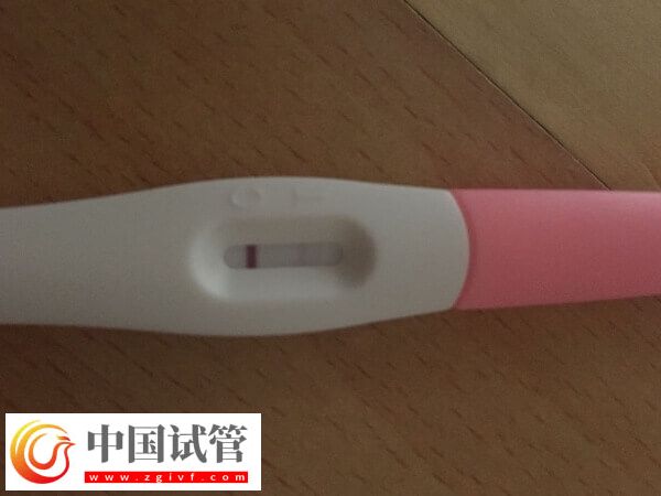 鮮胚移植十天后沒測出有沒有希望(圖1)