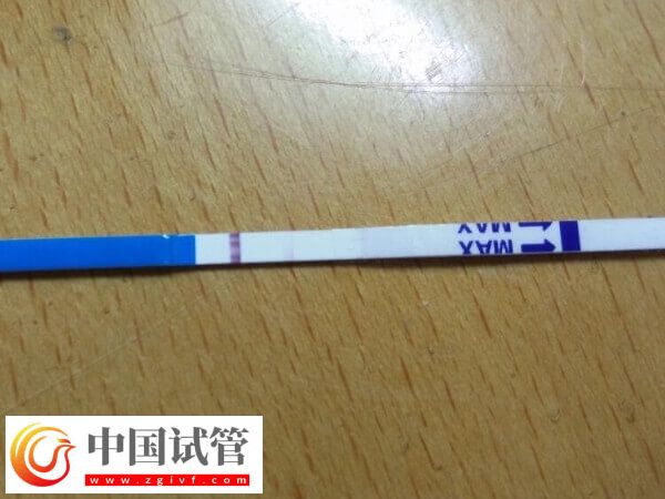 鮮胚移植十天后沒測出有沒有希望(圖3)