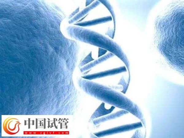 試管移植后有墜痛感正不正常(圖1) 試管移植后有墜痛感正不正常(圖1)