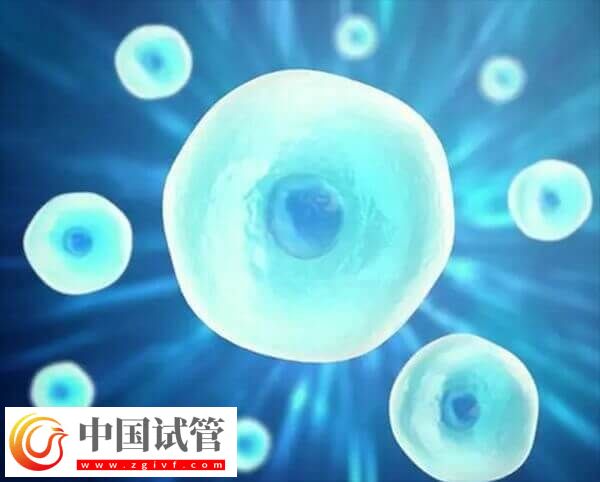 在長春婦產醫院做一次試管嬰兒的費用是多少呢？(圖1)