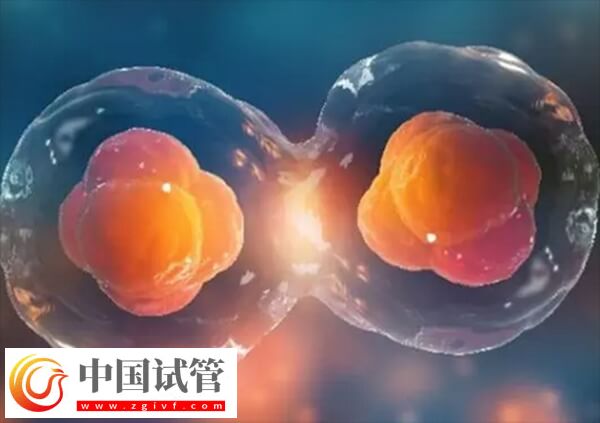 降調(diào)人工周期移植優(yōu)點有哪些(圖1)