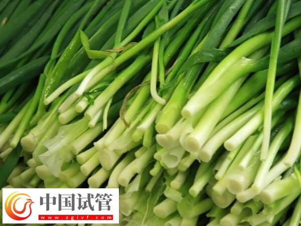 為什么鮮胚移植后不建議吃韭菜？(圖1)