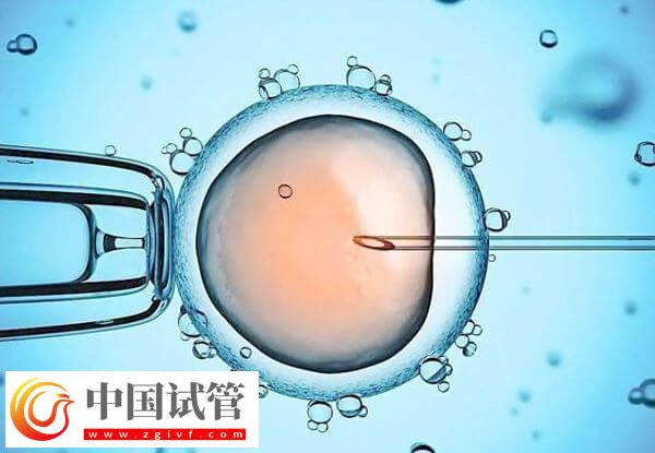 長沙開展輔助生殖技術(shù)醫(yī)院中助孕成功率高的有哪些?(圖2) 長沙開展輔助生殖技術(shù)醫(yī)院中助孕成功率高的有哪些?(圖2)