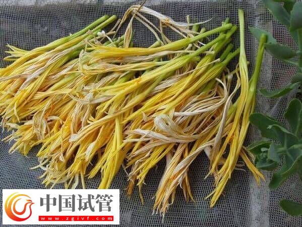 試管移植后吃干黃花菜對身體好不好(圖1)