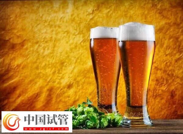 試管移植后喝啤酒有沒有影響(圖3)