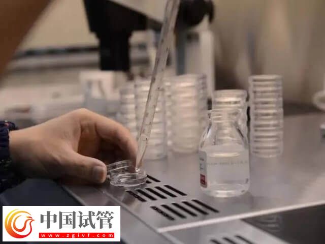 內膜移植窗口期一共查幾次(圖1)