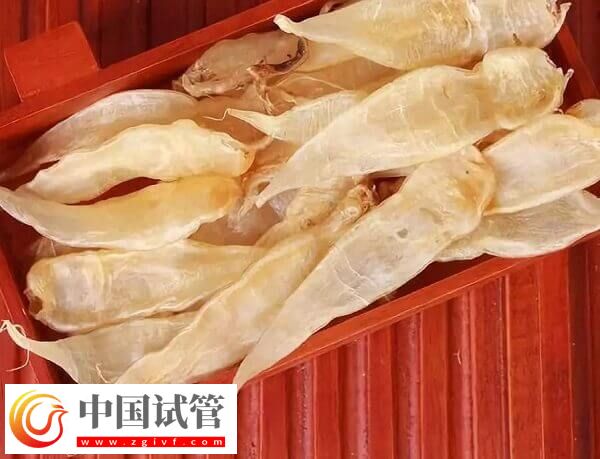 胚胎移植后每天吃魚膠是否有利于著床(圖2) 胚胎移植后每天吃魚膠是否有利于著床(圖2)