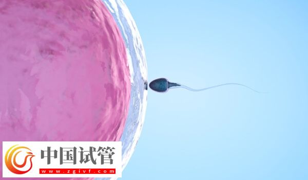 人工周期要去幾次醫院(圖1)