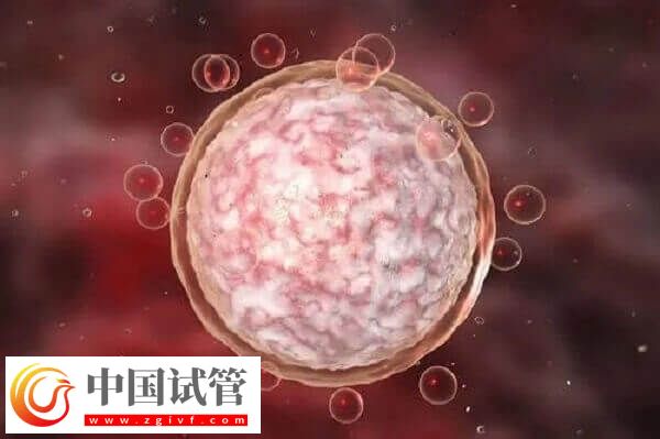 達菲林降調成功卵泡是多大(圖2)