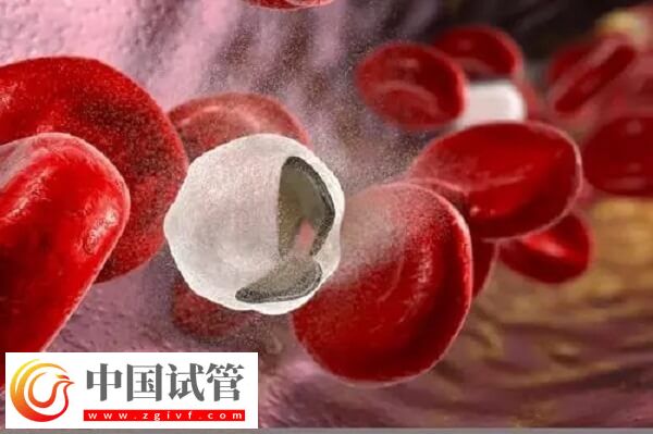 試管移植第三天出血是不是著床了(圖2)