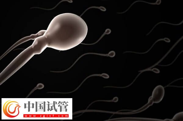 試管嬰兒中用果納芬好不好(圖2) 試管嬰兒中用果納芬好不好(圖2)