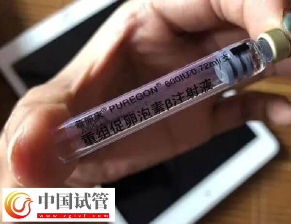 注射普麗康卵泡一天長多少(圖4) 注射普麗康卵泡一天長多少(圖4)