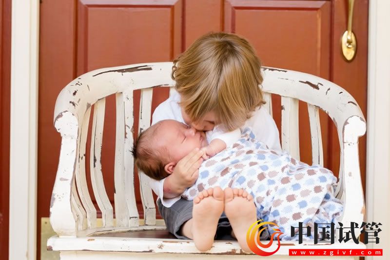 二代試管對精子的標準(圖1)