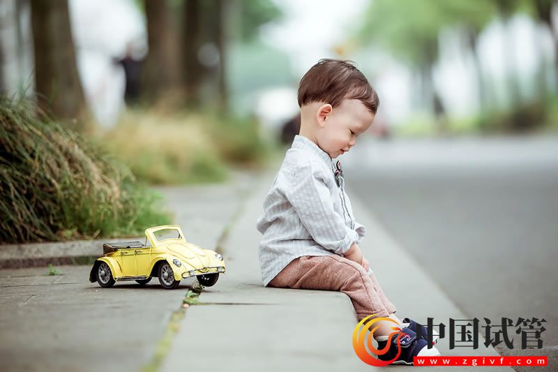 中國(guó)試管嬰兒網(wǎng) 三代試管養(yǎng)囊成功率怎么樣?(圖1)